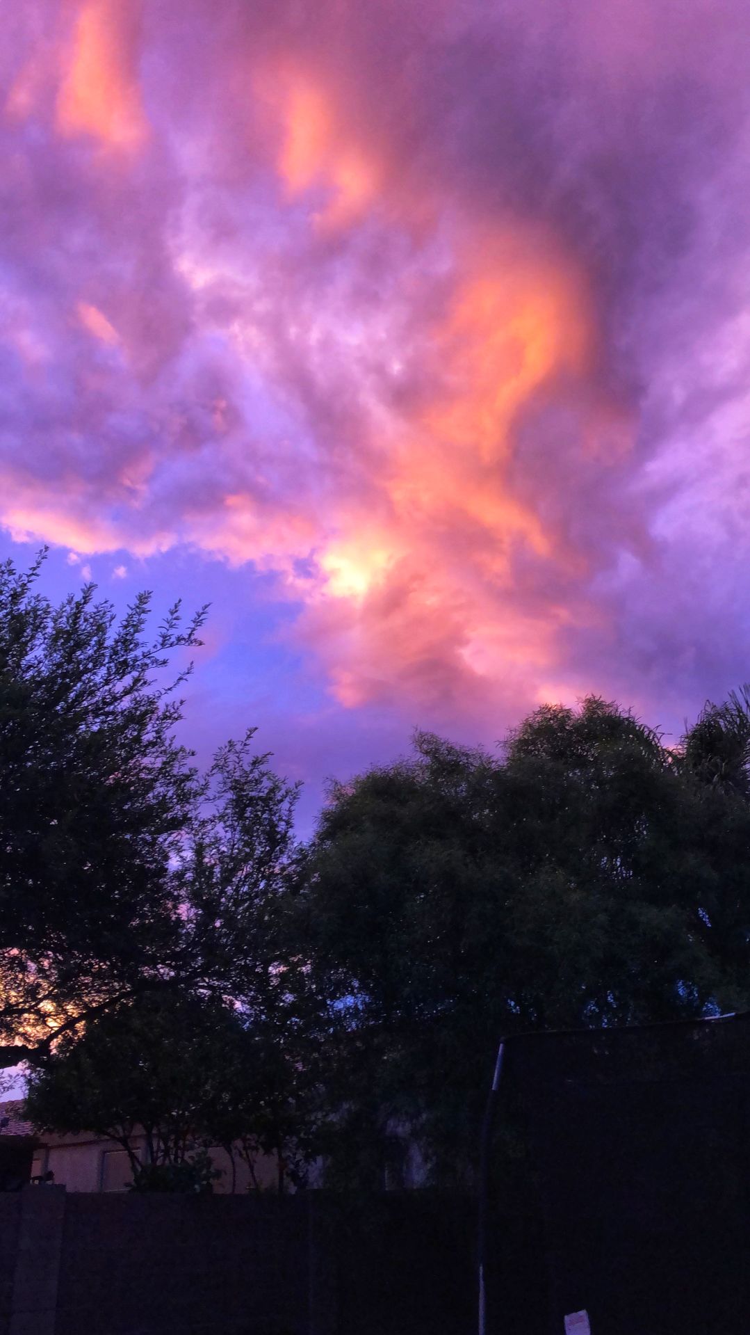 Pretty in Pink
